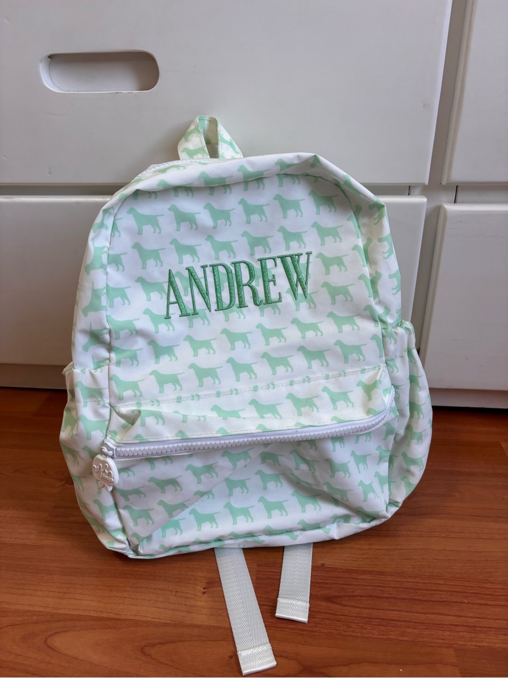 Personalized Kids Backpack - Mint Dog Print with Andrew Embroidery